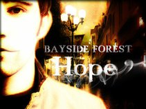 BAYSIDE FOREST