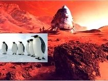 Penguins from Mars