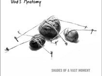 Void's Anatomy