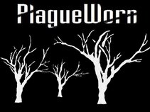 PlagueWorn