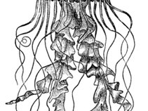 Jellyfish Trauma
