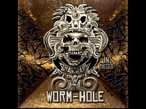 Worm-Hole