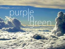 Purple In Green