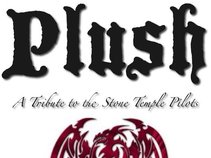 Plush Tribute Band
