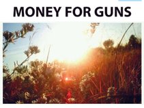 Money for Guns
