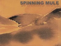Spinning Mule