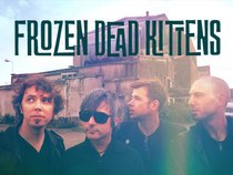 Frozen Dead Kittens