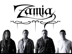 Image for Zamia