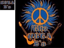 The Usta Bs Band