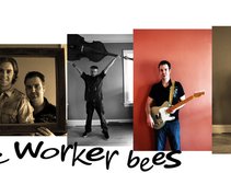 The Worker Bees