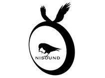 NiSound