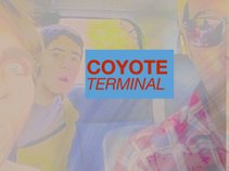 Coyote_Term