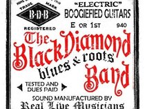 Black Diamond Roots Band