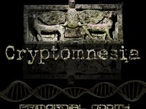 Cryptomnesia