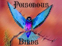 Evan Webb & the Poisonous Birds