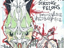 The Baltimore String Felons