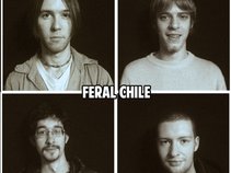 Feral Chile