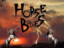 Horse Bodies