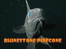 Rhinestone Pinecone