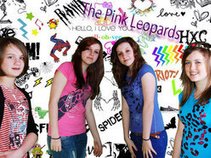 The Pink Leopards