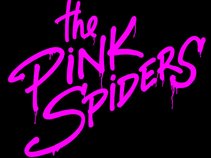 the Pink Spiders