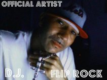 ARTIST FLIP ROCK."