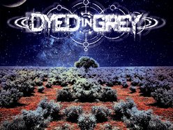 Image for Dyed In Grey