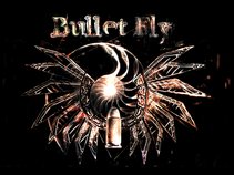 Bullet Fly