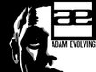 Adam Evolving