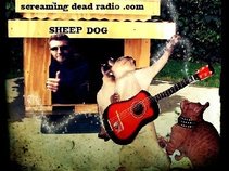 Sheep Dog and The Flea Fhukers