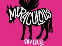 Miraculous Mule