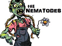 The Nematodes
