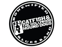 Catfish & The Hollywood Hound Dogs