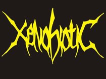 Xenobiotic