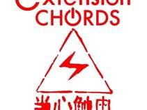 Extension Chords
