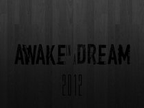 Awake In A Dream