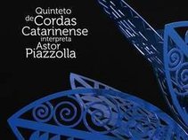 Quinteto de Cordas Catarinense