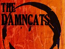 The DamnCats