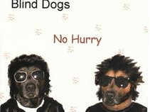 Blind Dogs