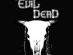 Image for THE EVIL DEAD