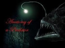 Anatomy of a Predator