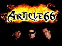 Article 66