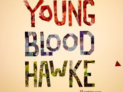 Image for Youngblood Hawke
