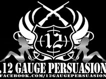 .12 Gauge Persuasion