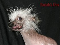 Pariah's Dog