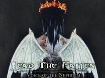 Lead The Fallen