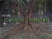 The Cosmic Roots