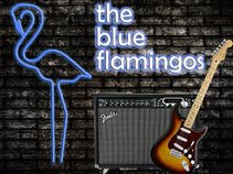 The Blue Flamingos