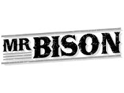 Image for Mr Bison
