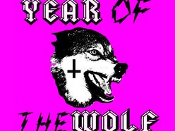 Image for Year of the Wolf